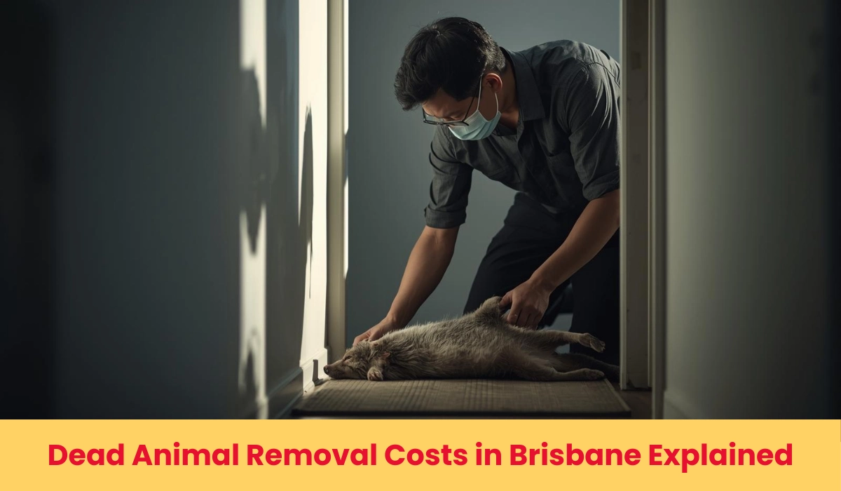 Dead Animal Removal Costs in Brisbane Explained