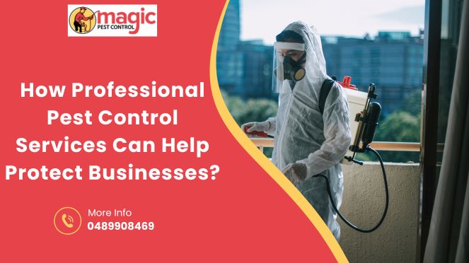 How Professional Pest Control Services Can Help Protect Businesses?