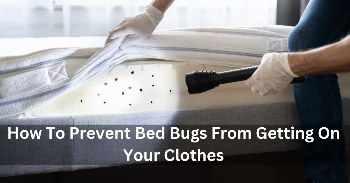 How To Prevent Bed Bugs From Getting On Your Clothes