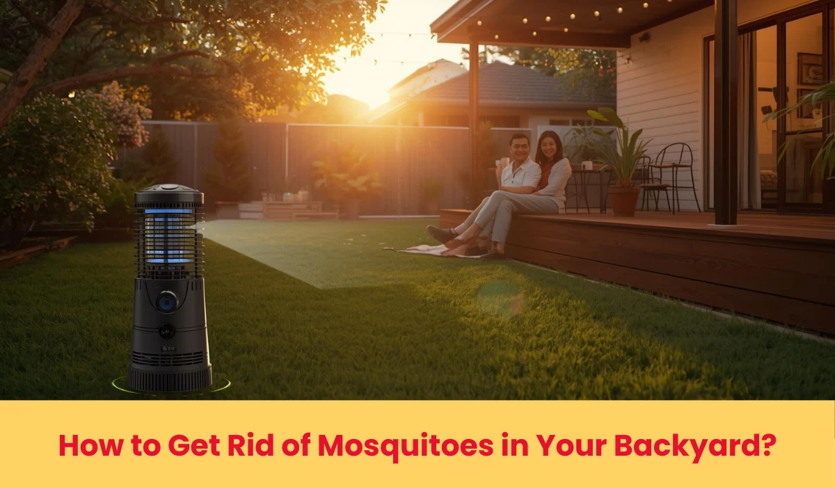 How to Get Rid of Mosquitoes in Your Backyard?
