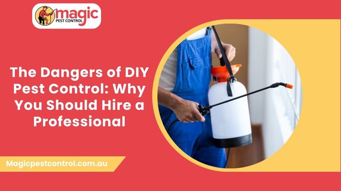 The Dangers of DIY Pest Control: Why You Should Hire a Professional
