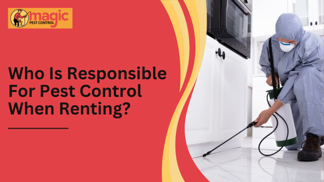 Who Is Responsible For Pest Control When Renting?