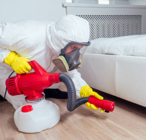 Residential Bed Bug Removal Service